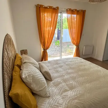 Oyat Entre Foret Et Ocean